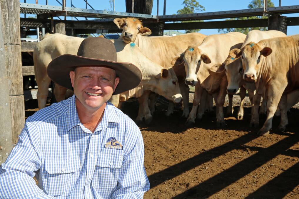 Burnett Livestock & Realty’s Lance Whitaker with a pen of Charbray heifers on account of the Sarnadsky family, South Kolan. The heifers sold for 350.2c/kg or $1637/head.