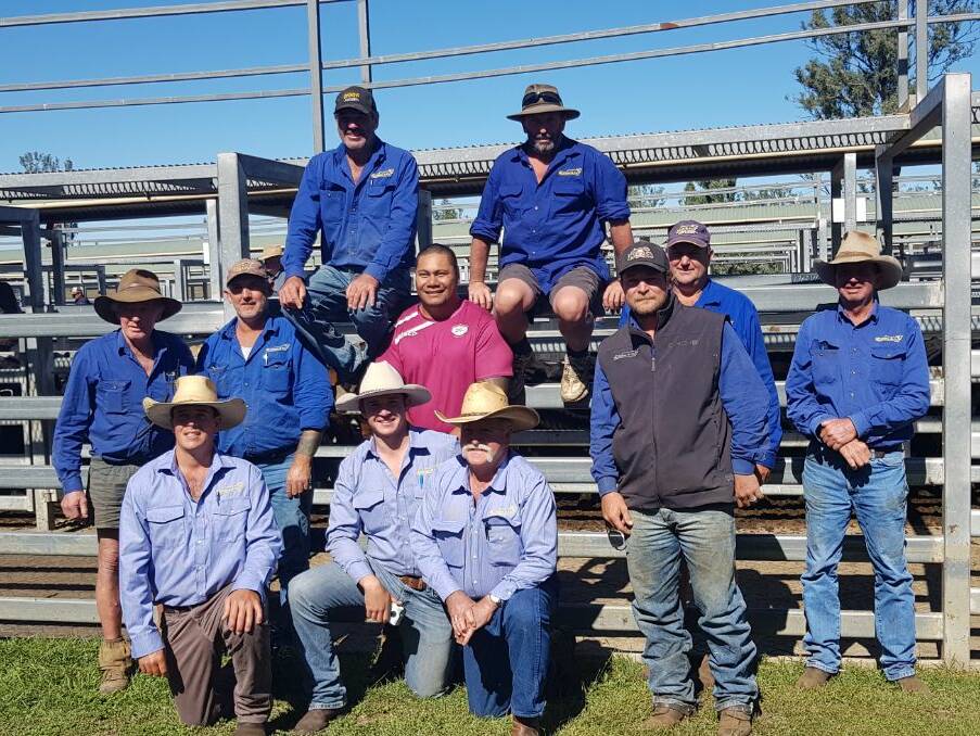 Hayes and Co yarded a top-quality line up of 1580 weaners for its annual weaner sale at Silverdale. 