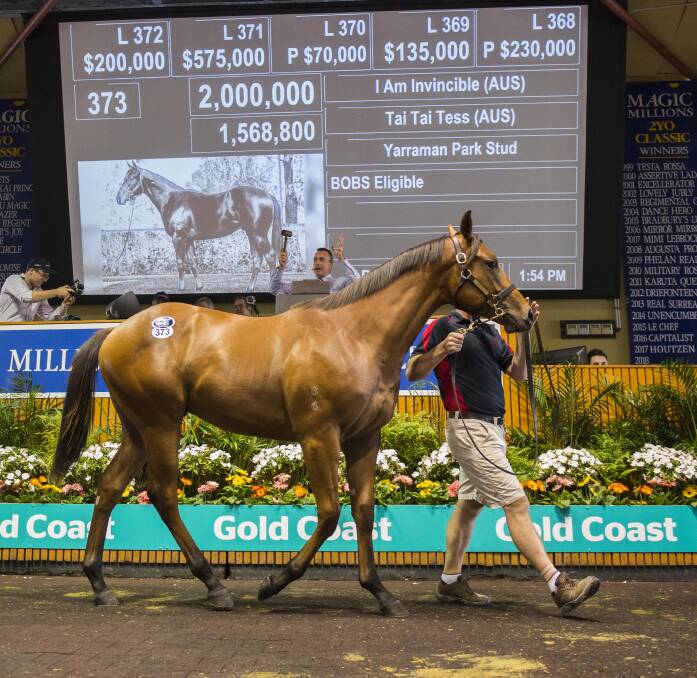 Top sale price of $2 million was  paid for an I Am Invincible/Tai Tai Tess colt.