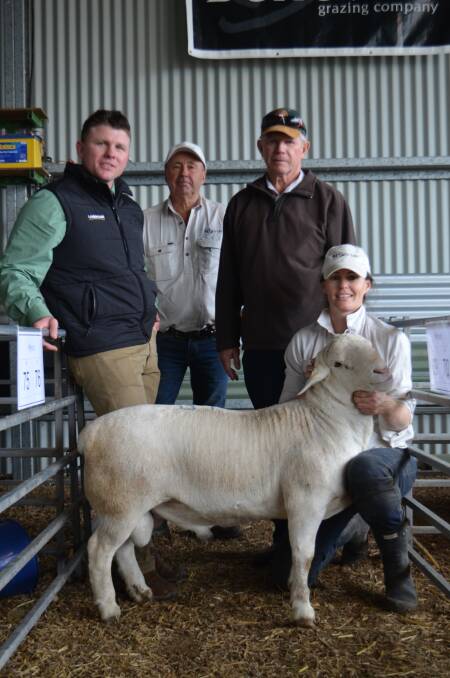 Colby Ede, Landmark, David Curtis, Bellevue Dorpers, Richard Knights, Acme Downs, Bollon and Sophie Curtis, Bellevue Dorpers, with the top-priced ram.