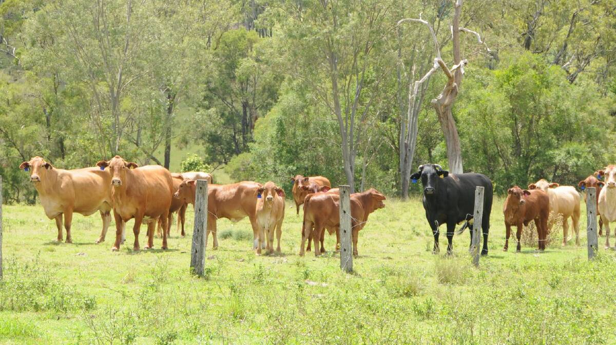 Buying and selling rural property in Queensland