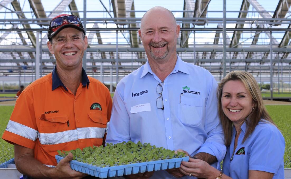Lockyer Valley growers Anthony and Diane Staatz, from Koala Farms, with Growcom CEO Pat Hannan.