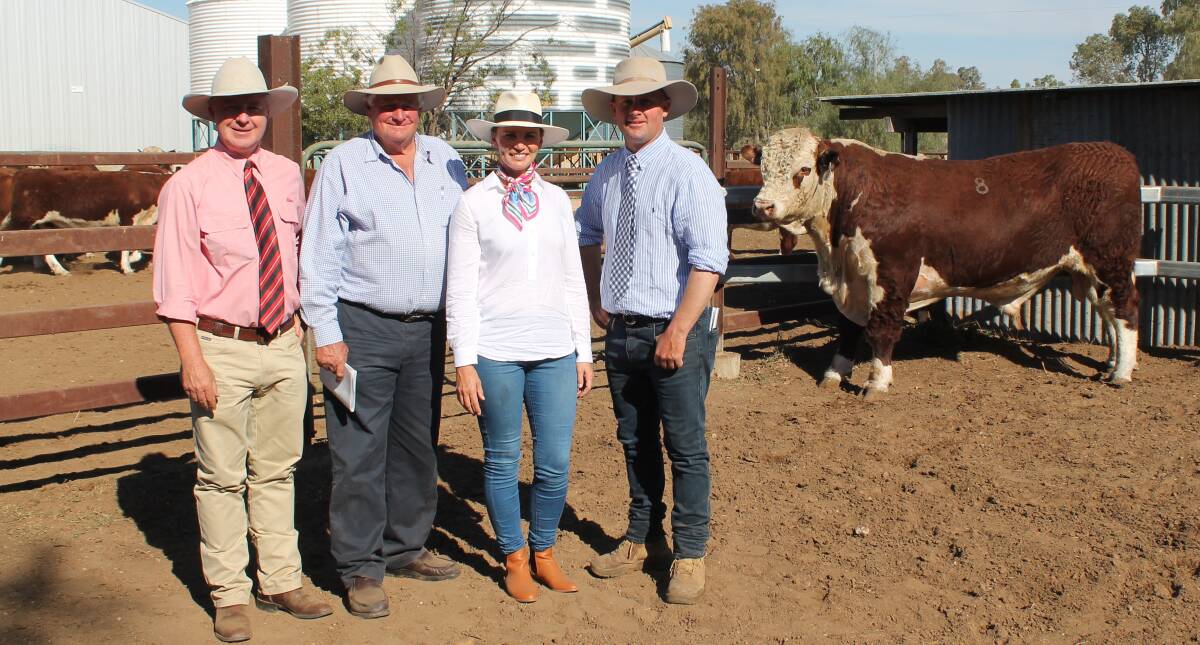 Elders auctioneer Andrew Meara and buyer John Galwey, Stuarts Creek Pastoral, Roma who paid the $22,000 top money for Wallan Creek Victory Blend L200 with Jane and Toby Nixon, Wallan Creek Herefords, Drillham.