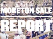 Increased numbers at Moreton