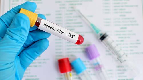 Hendra vaccinations down