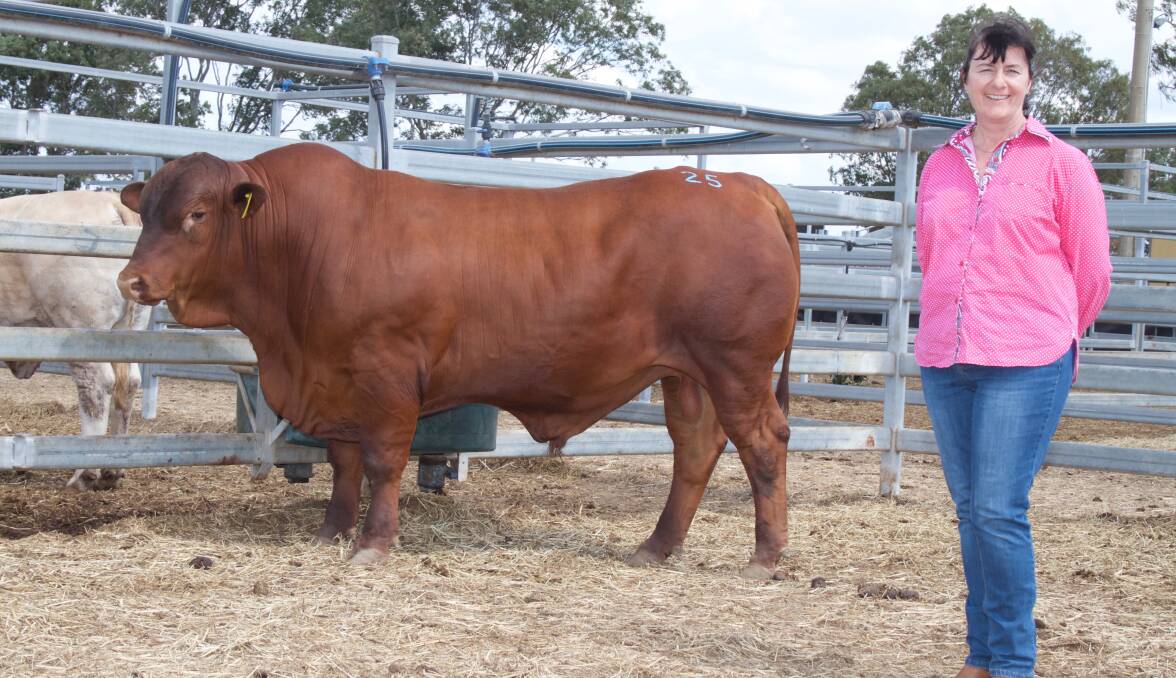 Alison Maynard, 5 Star Senepol Stud with the $16,000 5 Star L60414 which sold to the Heatley family. 