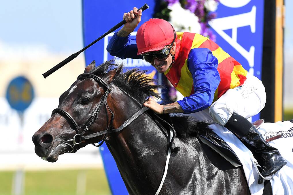 Corey Brown rides Pierata to victory the Magic Millions Three-Years-Old Guineas on Saturday. Picture: Albert Perez