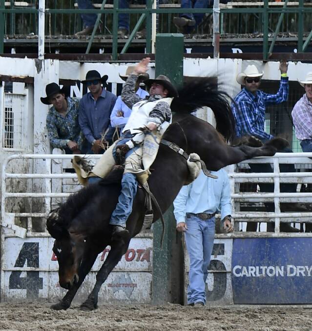 WINNER: Ben Hall easily won the bareback bronc pro tour buckle in the APRA this year and will be looking for more good form in the Warwick Rodeo APRA National Finals on October 26-29. Picture: www.dephotos.com.au