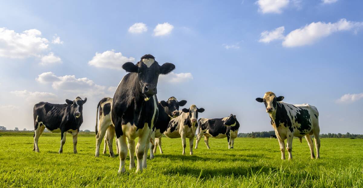 New technologies on the horizon for dairy