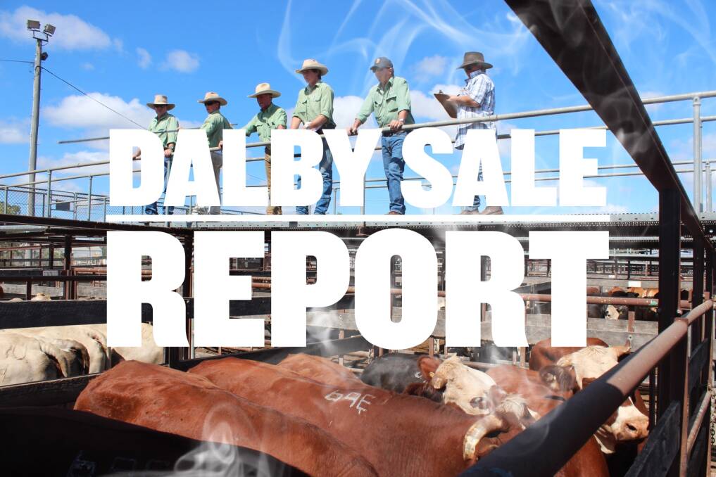 Grown steers 289.2c at cheaper Dalby market