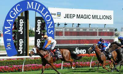 BUILD-UP: The road to the Magic Millions has been paved with feature racedays, with the Brisbane Racing Club alone to host 12 Black Type Races before December 19.