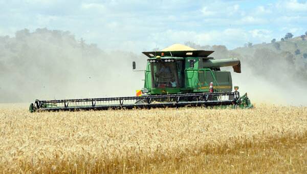 Harvest concerns cause US wheat futures to soar
