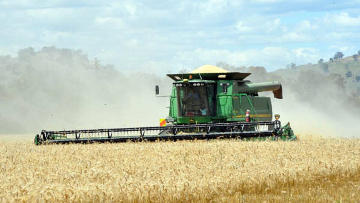ABARES cuts national grain yield forecasts