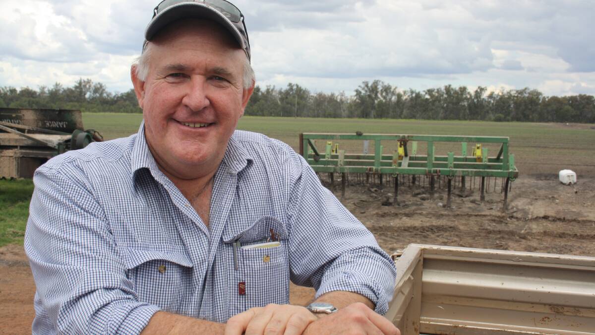 Growing grains an opportunity for the north