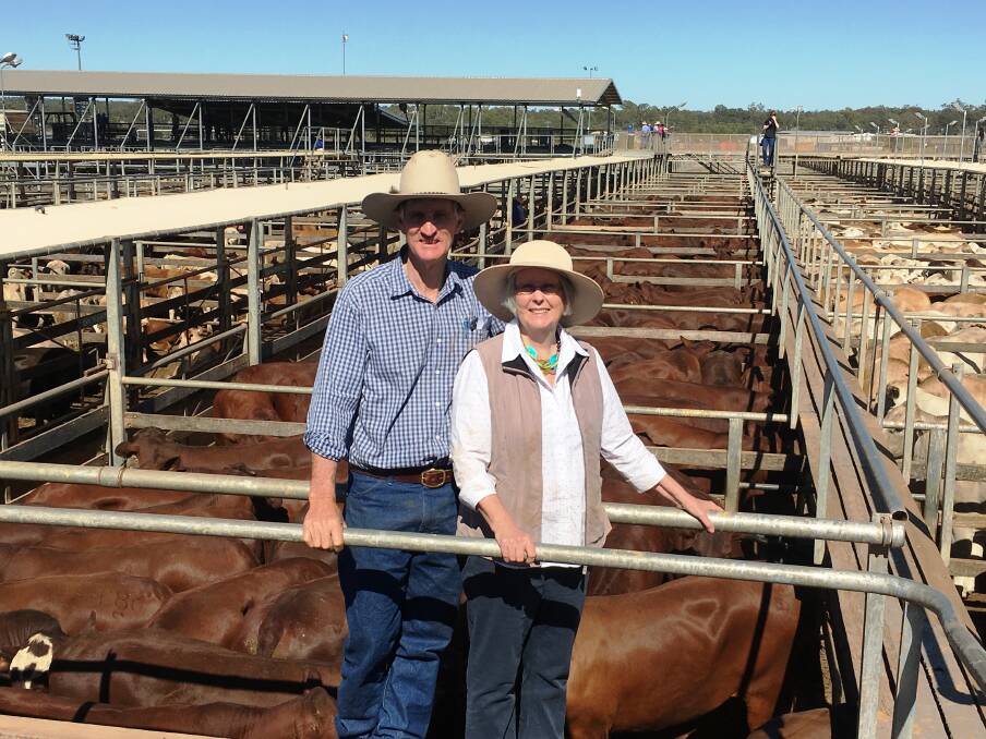 Alec & Fay Nugent, Nugent Pastoral Co, Bulburram, Tambo, sold 441 head of steers to a top of 364c/kg for 496kg to return $1808/head at Roma’s Store Sale on Tuesday.

 