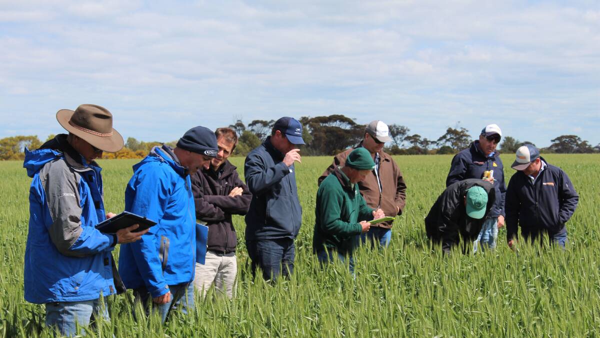 A first look at new herbicides for South Australian Agronomists