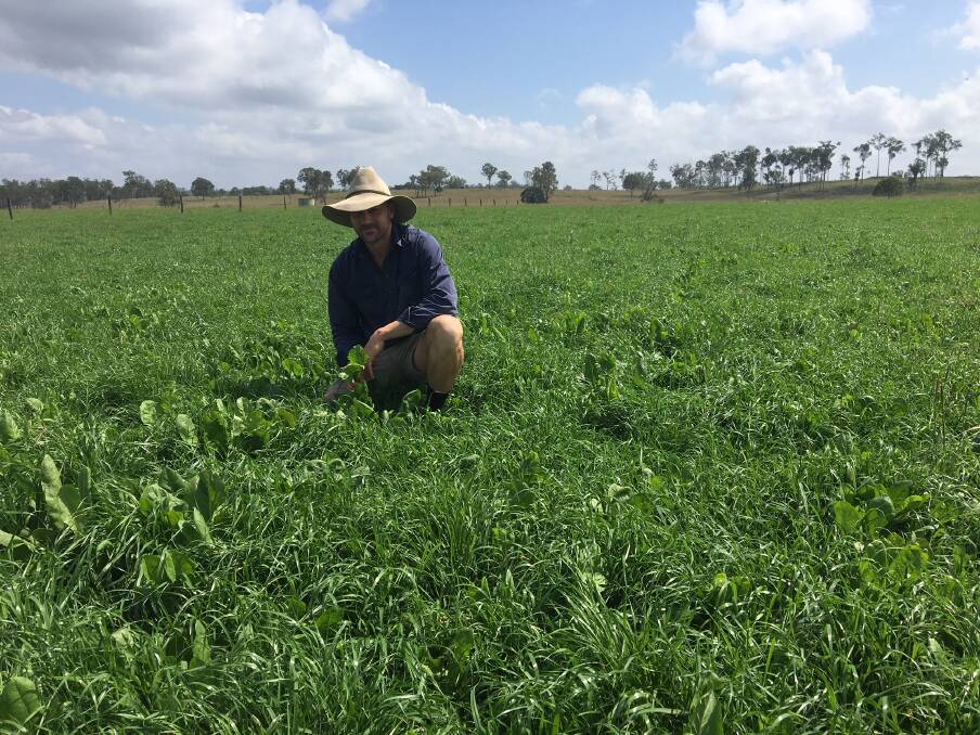 Based on this success Michael Mendez says he will be growing Mona Tetraploid Italian ryegrass again in 2018.