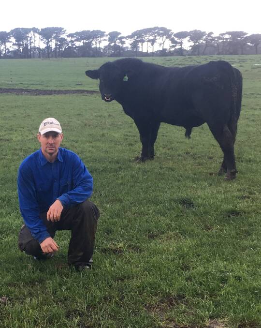 Andrew Raff on King Island pasture of clover and rye grass that is now carrying the family's Angus herd, which was relocated from Queensland.