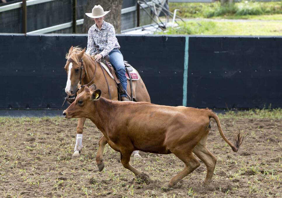 Michaela Kenniff in action at Dorrigo in January. Photo: Sally Carrington, Northern Horse Images