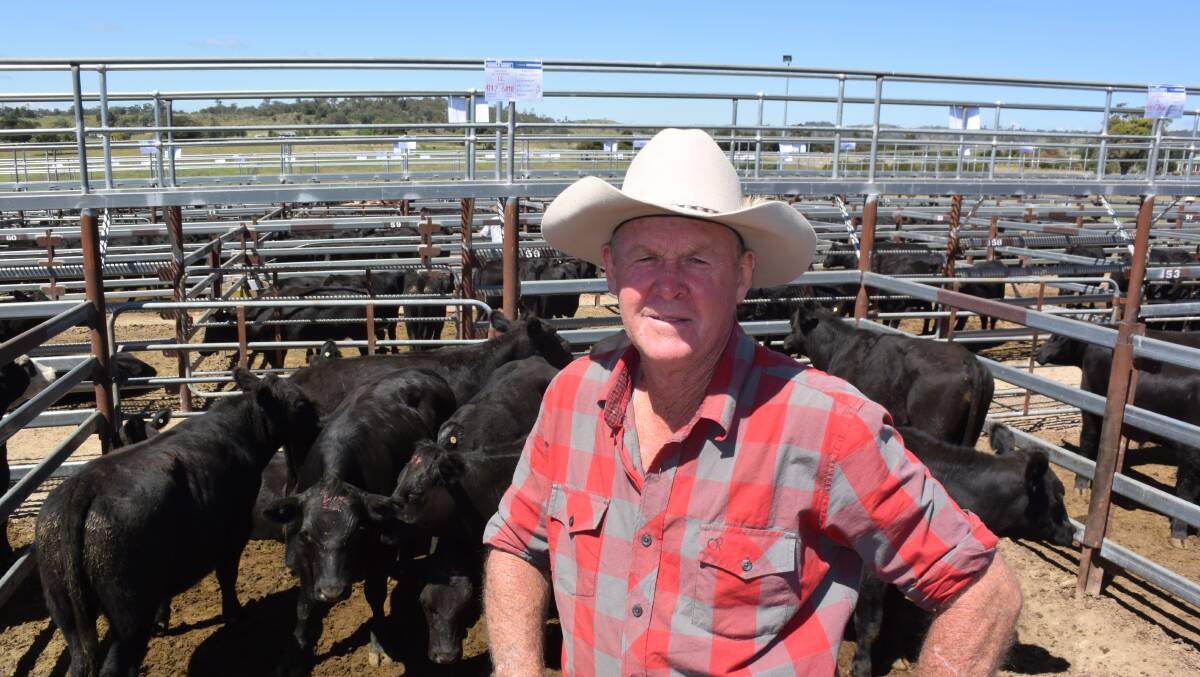 Allan Sweeney, Rocky River, with milk tooth Angus by Texas sires which sold to Wyallah feedlot, 424kg for 311c/kg or $1318.