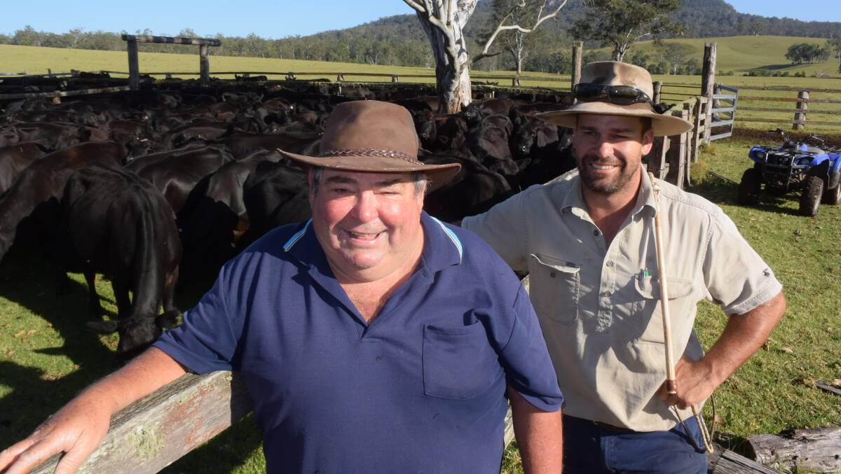 Ian and Cameron Mulcahy yard Angus at the headwaters of Beury Creek where the breed has come 360 degrees since the early days of 'Grimstead'.