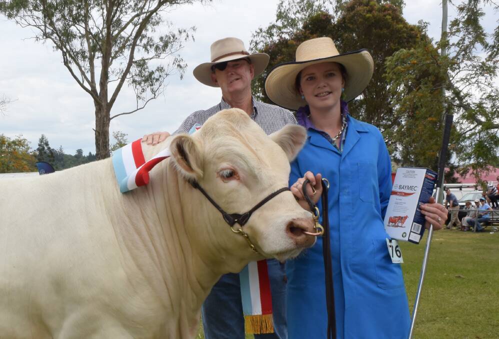 Re-elected NCMC chairman John Seccombe, pictured with Heidi Nicholls, Rukenvale, sashes the champion junior bull last weekend at Lismore's North coast National. 