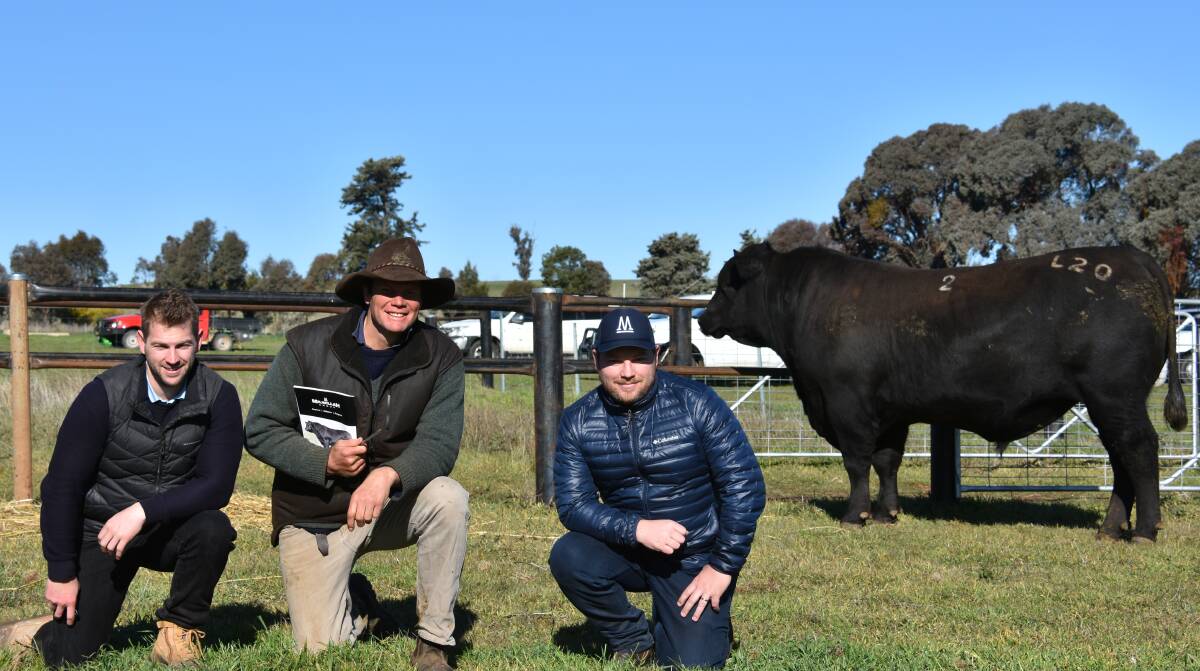 Will Caldwell with purchasers of $27,000 top price bull Milwillah Reality L20, Sam and Patrick Hayden, Buchan Station, East Gippsland, Vic.