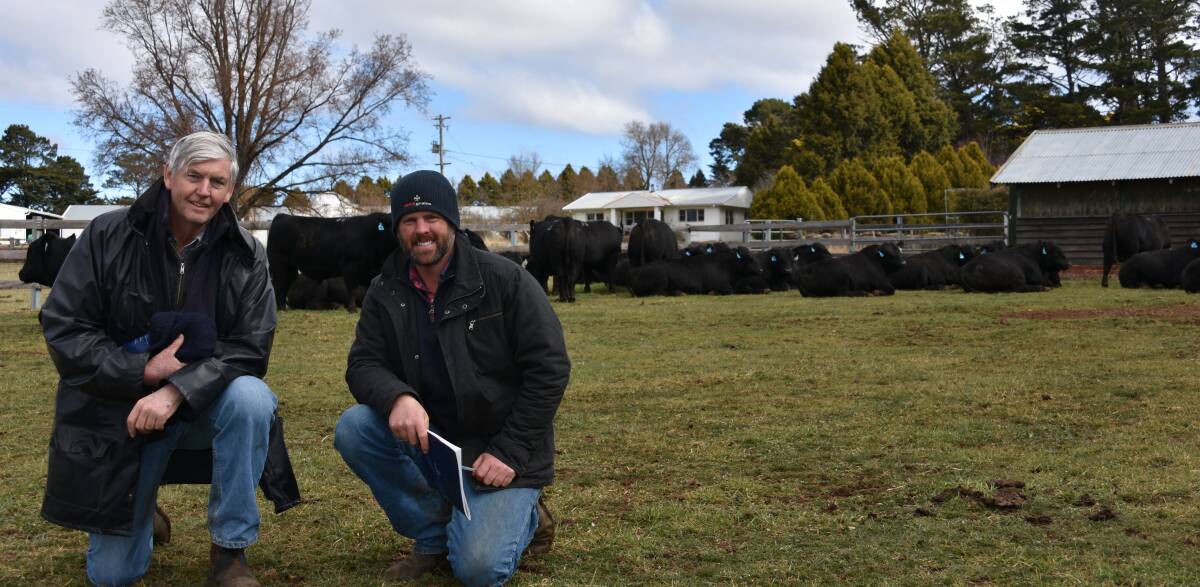 Steve and Matt Merriman, "Ravensworth", Yass, who purchased the top price bull at $15,000 and eight mates.