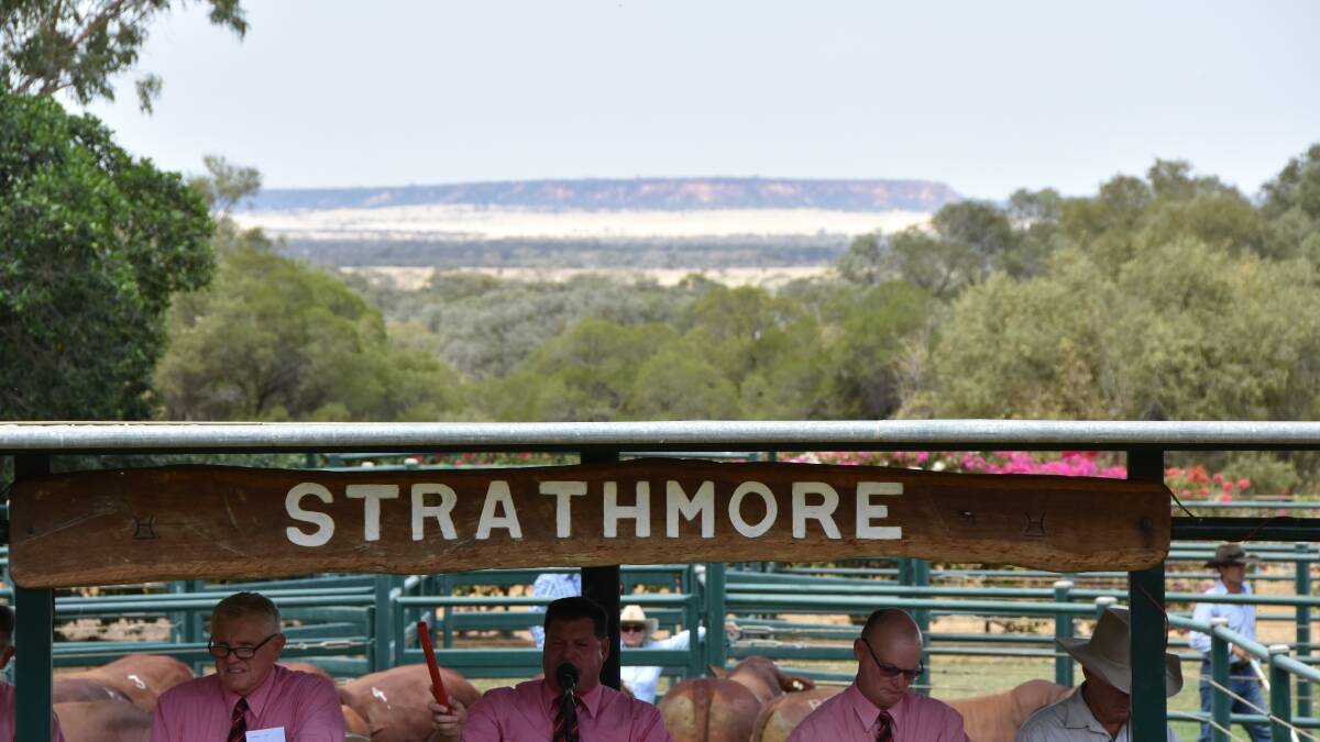 The picturesque backdrop to the Strathmore sale. 