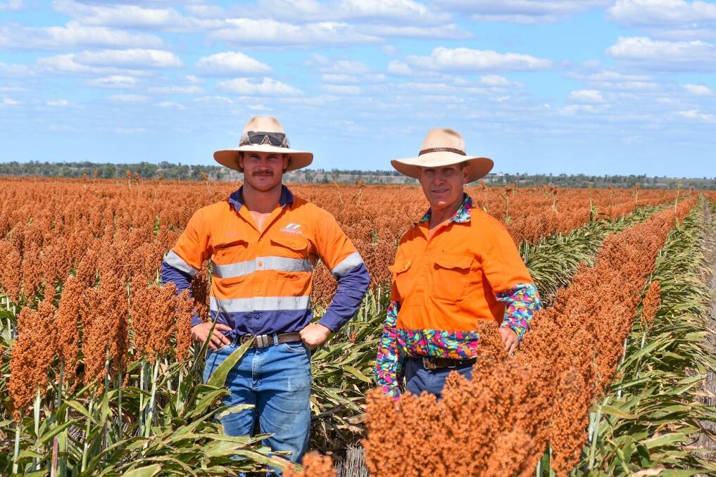 Lawson Storey with his uncle, David Storey, amongst the family's summer sorghum crop at Dalby Downs, near Capella. Picture: Ben Harden 