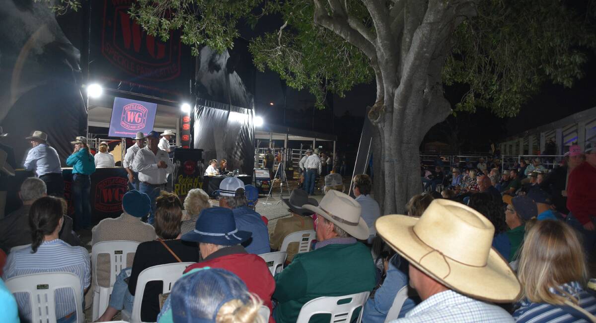 It was standing room only at the Wattle Grove Speckle Park sale at the Rockhampton Showgrounds at Beef '24 on Wednesday evening. Picture: Ben Harden 