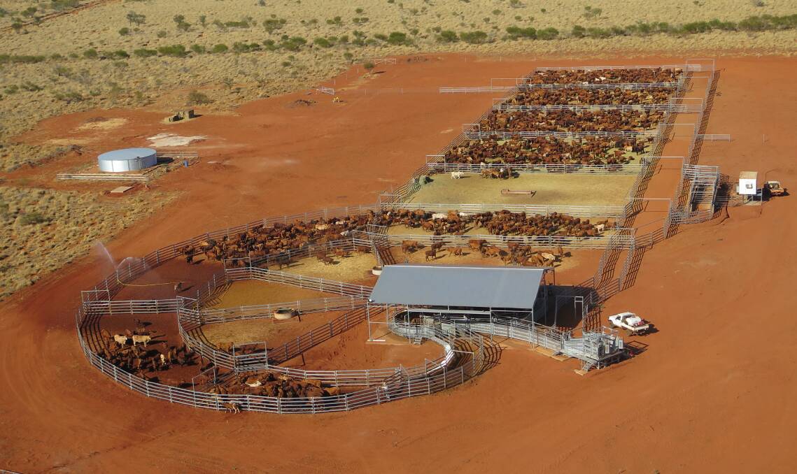 A Queensland company that specialises in high-quality livestock handling solutions, Thompson Longhorn, recently overcame the tyranny of distance to complete a cattle-handling facility in one of the most remote parts of Australia.