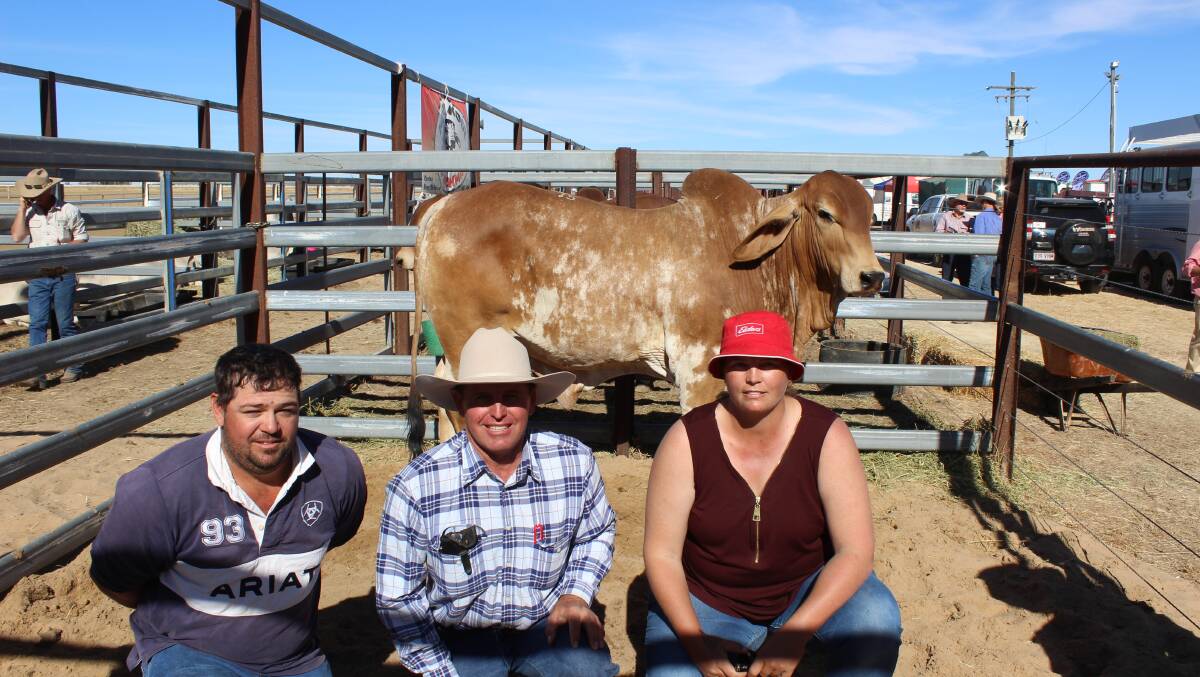 Peter Price, Barry Christensen and Olivia Price all happy with the top price bull Koon Kool 4619 for $8000. 