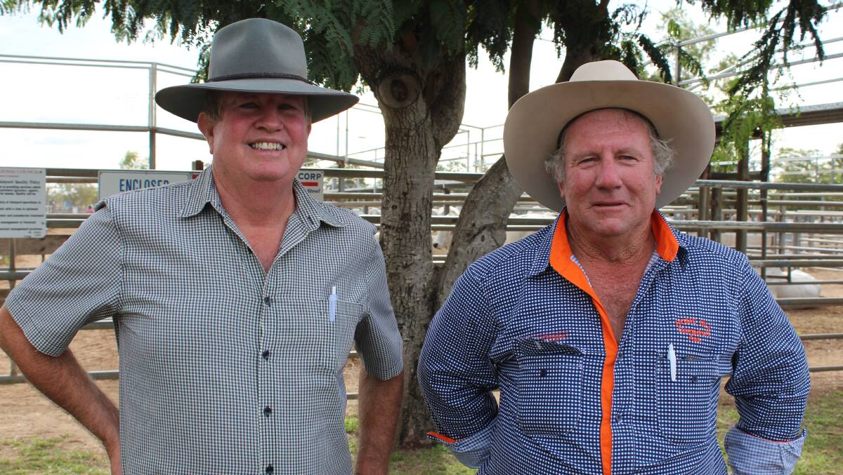 Volume buyers of the Elrose Reduction Sale, owner Peter Malpass and manager David Roberts from Swans Lagoon, Millaroo. Photo: Samantha Walton.