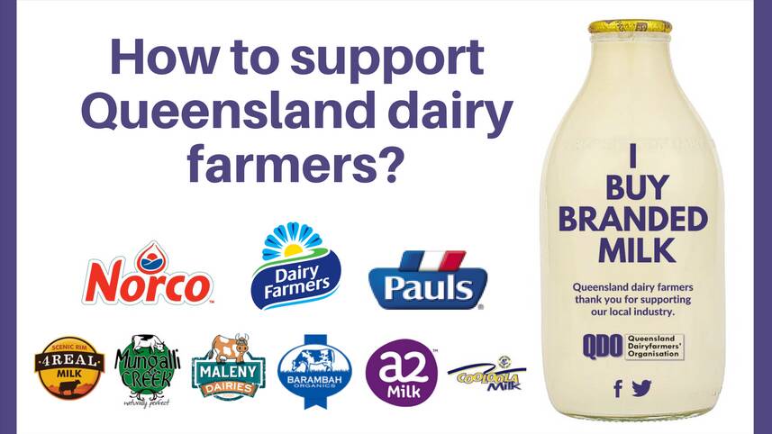 Confused about what milk to buy in order to support Queensland dairy farmers? Queensland Dairyfarmers Organisation says steer clear of cheap milk and pay a little more for brands that returns to farmers.