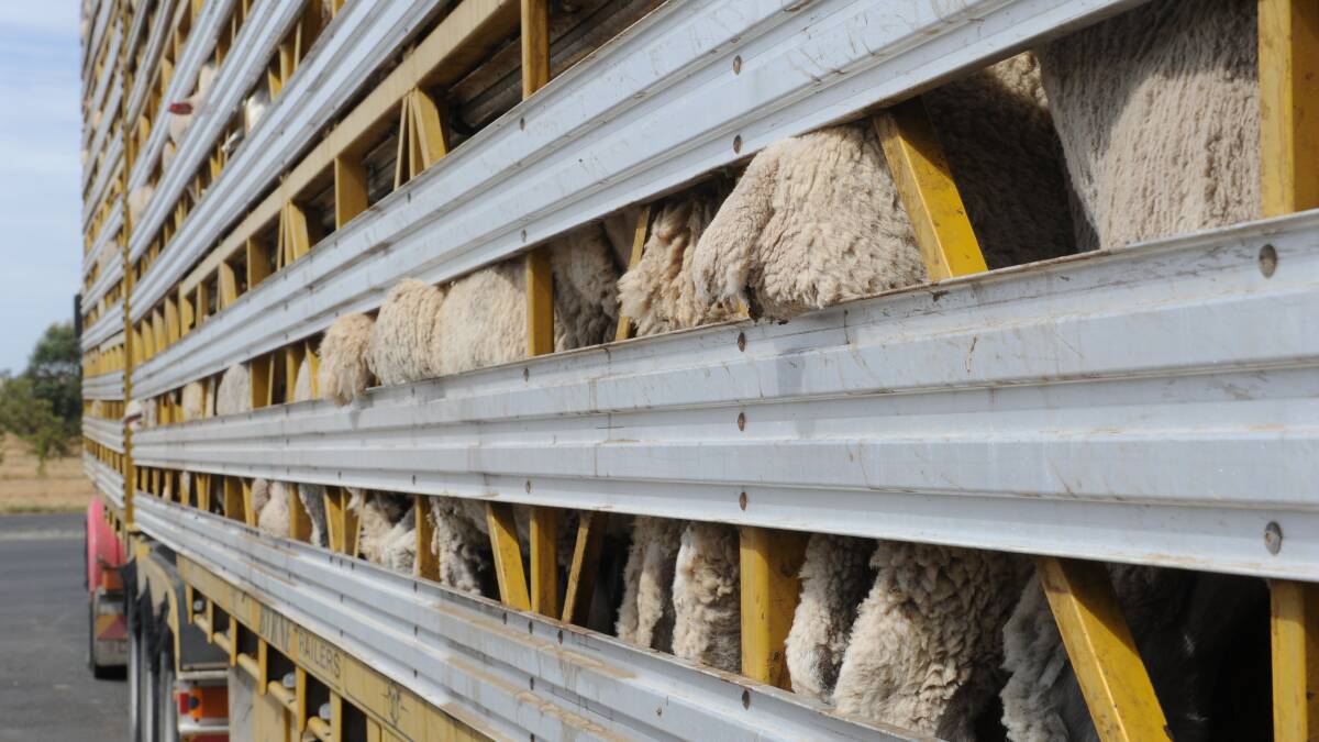 Stock effluent dumping spots for livestock carriers: plan