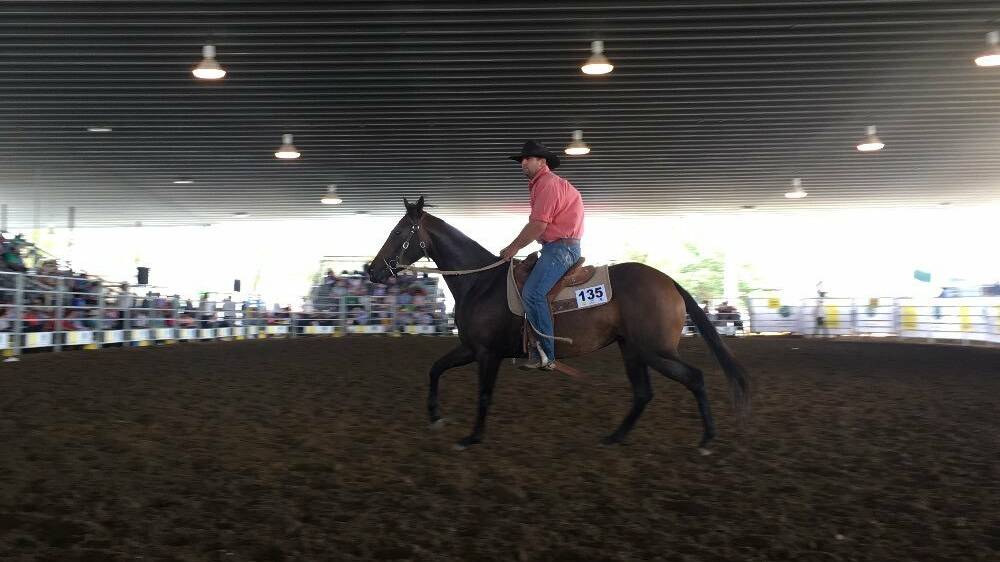 Quality genetics will go under the hammer at the Dalby Australian Stock Horse sale on December 1 and 2.