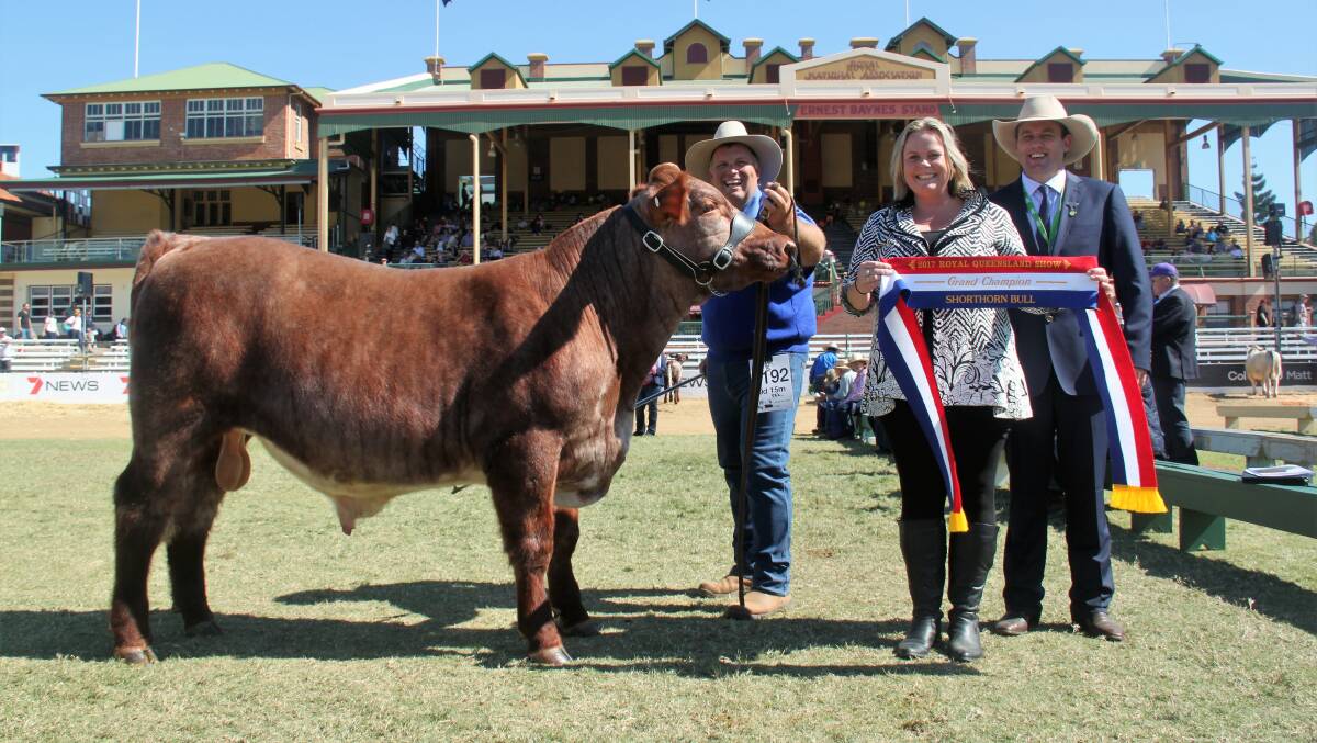 Gr ch bull bull Amavale Masterplan, Amavale Shorthorns, Barambah, Jeff Rose with Kate and Matthew Spry.