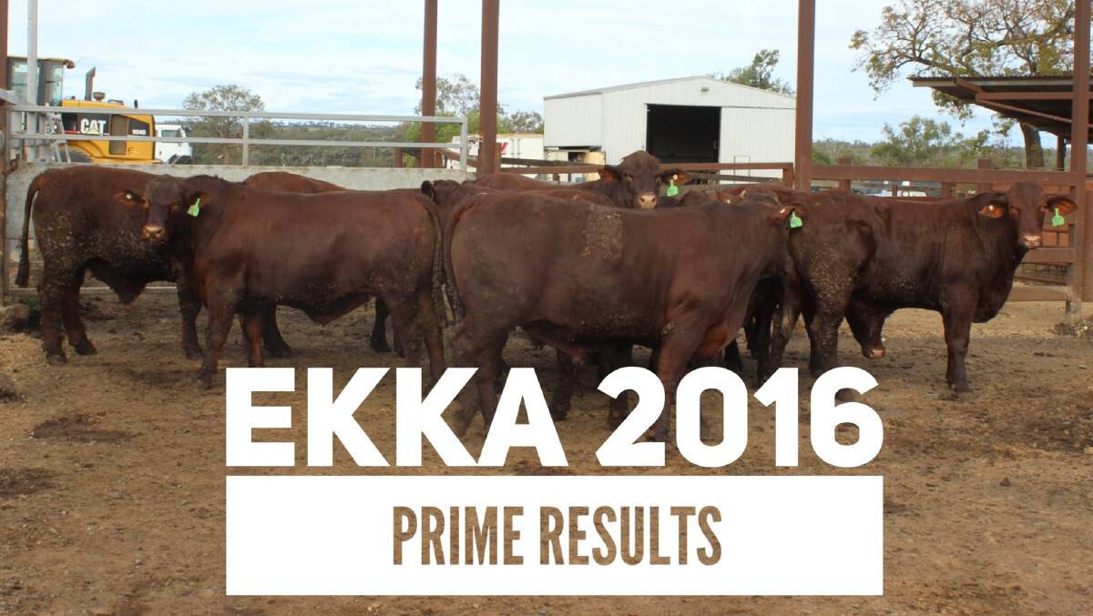Ekka 2016 prime beef results
