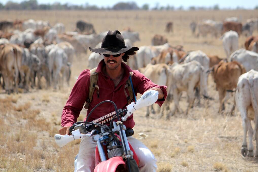 Scott McClymont, Rosella Plains, Mount Garnet, grazes 800 head of cattle west of Richmond.