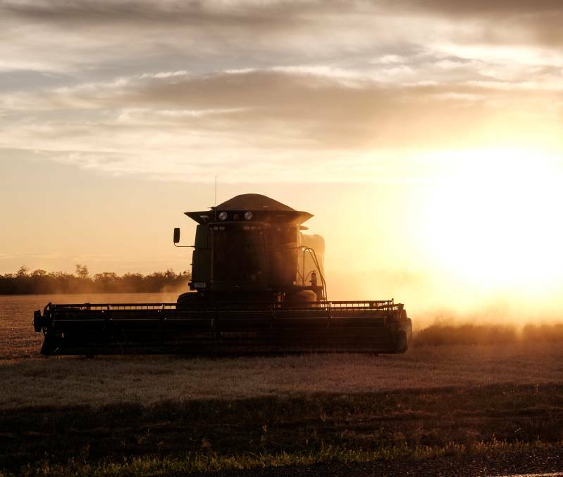 Barley harvest on the road to Dalby. Photo: Matthew Newton