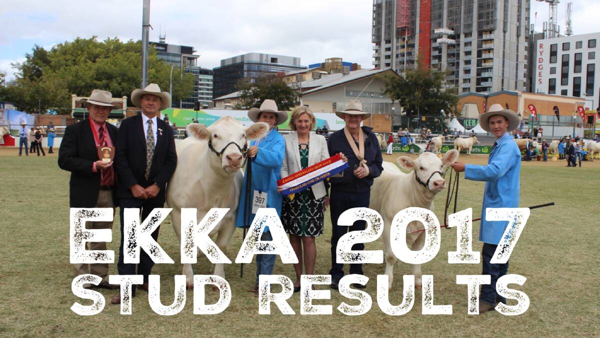 Ekka 2017 stud beef results