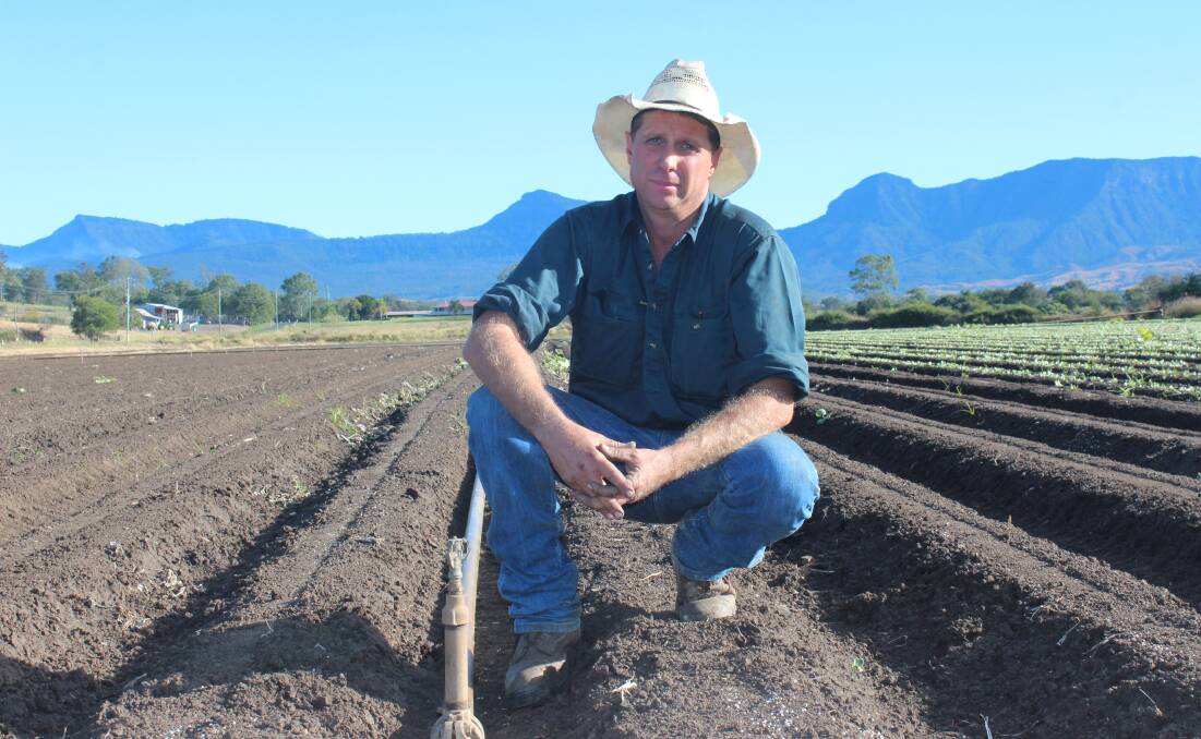 Price hikes: Tarome vegetable farmer Glenn Abbott puts in the irrigation for his freshly planted onion crop after it was announced two weeks ago that electricity prices would increase by more than 10 per cent. Photo: Eric Barker