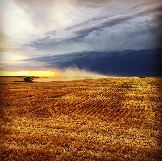 Winning shot: This striking photo of the harvest at Meandarra received the most votes in QCL's #Qldharvest16 photo competition. Photo: Steve McDonald