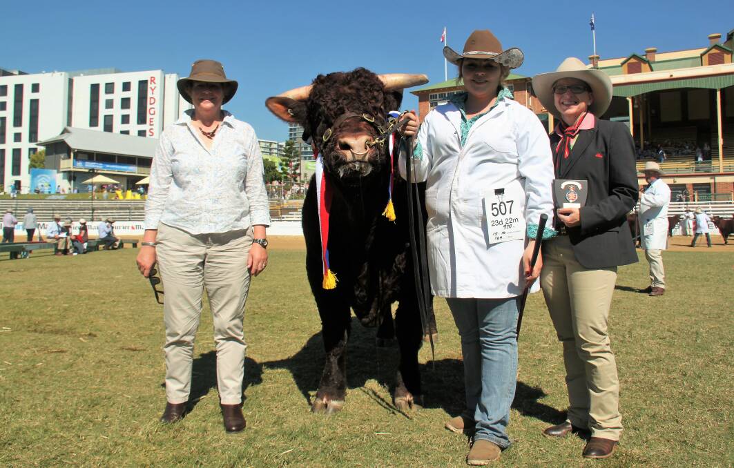 Joy Cottey, UK presented Vix Lodestone bull and led by Sam Fletcher plus Lisa Hedges, Elders.