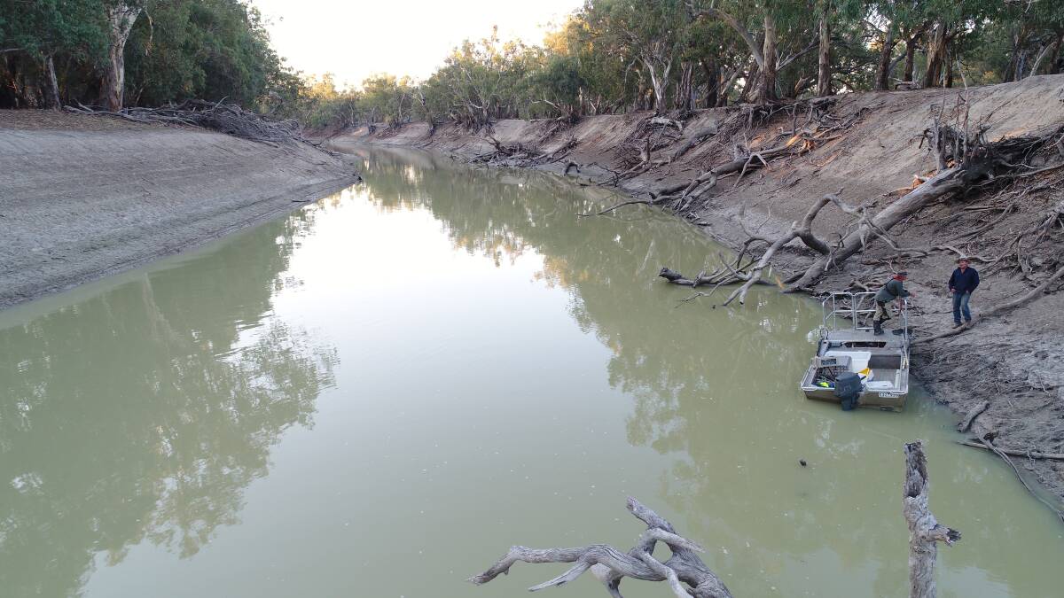 Karoola Reach in the Lower Darling. Monitoring of fish populations following environmental water delivery in May 2017.