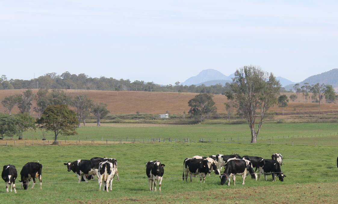 Scenic Rim dairy farmers said $1 milk is their biggest issue.