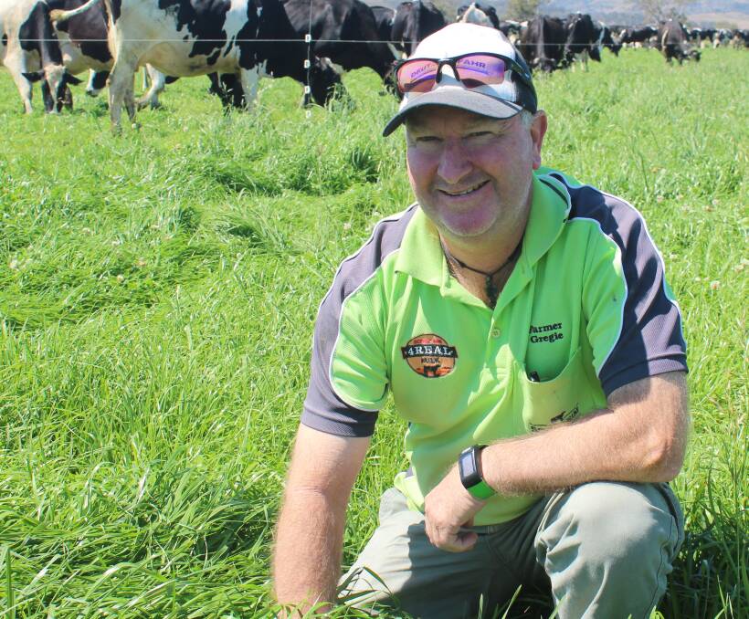 BUMPER CROPS: Tamrookum dairy farmer Greg Dennis in his bumper rye grass crop after a wet winter. Mr Dennis says the winter rain was almost perfect the way it fell. Photo: Eric Barker