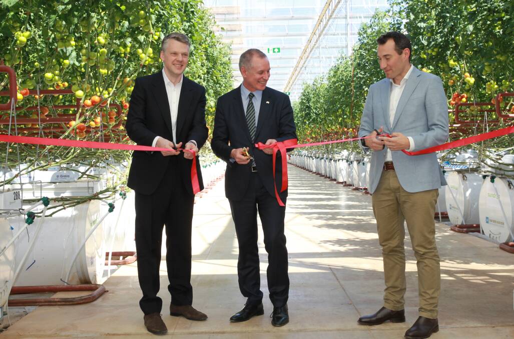 OPEN: Sundrop Farms CEO Philipp Saumweber, South Australian Premier Jay Weatherill, and Coles merchandise director Chris Nicholas at last week's official opening. PHOTO: PRR.