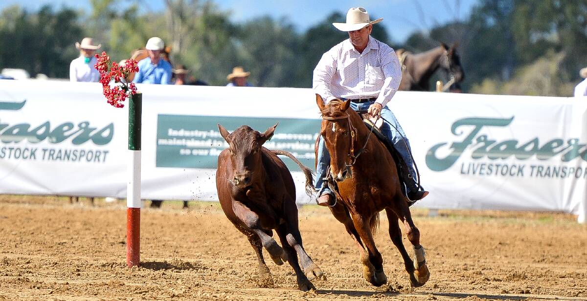 Central Zone: Riverina Open Horse Hip Chick ridden by Warren Holzwart represents another top contender for the title.